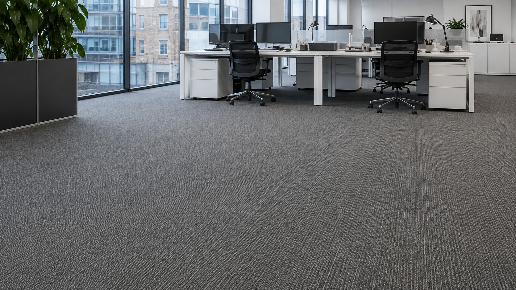 Commercial office with carpet tile and contract carpet zones