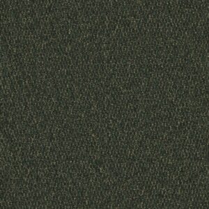 Furlong Gobi in Palm